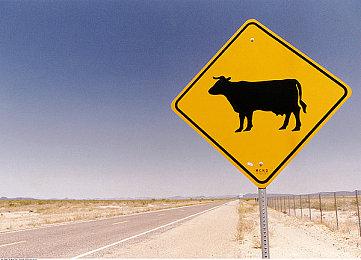 《生化危机9：安魂曲》怪物会突然把东西扔过来